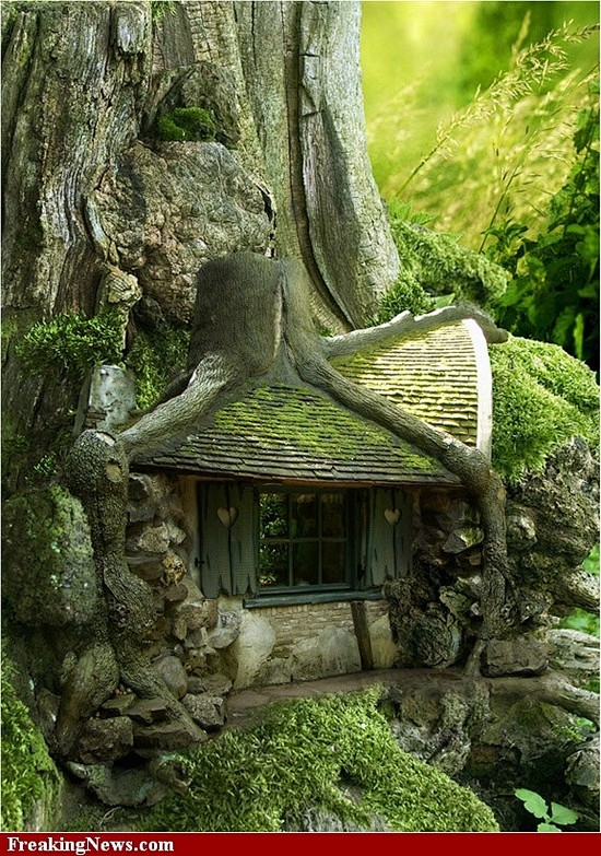 神奇树屋