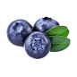 蓝莓 (8)