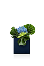 Muscari, viburnum and aspidistra leaves on blue plexiglass vase - ArmaniFiori
