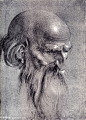 作　　者：阿尔弗雷德·丢勒 - Albrecht Dürer
作品名称：head of an apostle looking downward
作品尺寸：229x316
作品年代：1508
作品材质：毛笔画