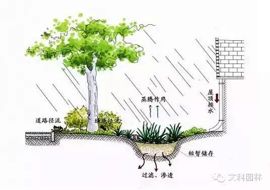 【文科分享】建设海绵城市 缔造雨水花园-...