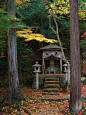 紅葉の古都　京都（北嵯峨：護法弁財天～愛宕念仏寺） (嵐山・嵯峨野・太秦・桂) - 旅行のクチコミサイト フォートラベル : 嵐山・嵯峨野・太秦・桂でのcomevaさんの旅行記です。