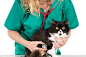 Veterinary with kitten by 135pixels Eduardo Gonzalez on 500px
