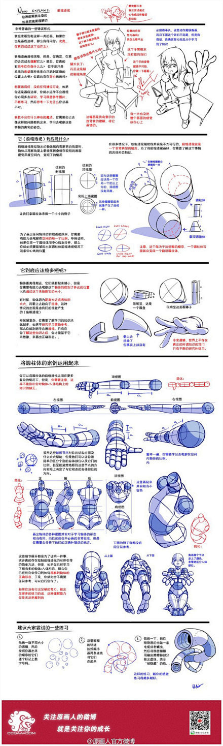 【人体结构】人体结构驱赶动态的解析教材~...