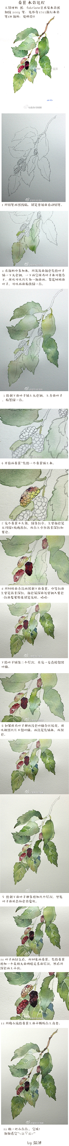 苍髯茹戟采集到水彩