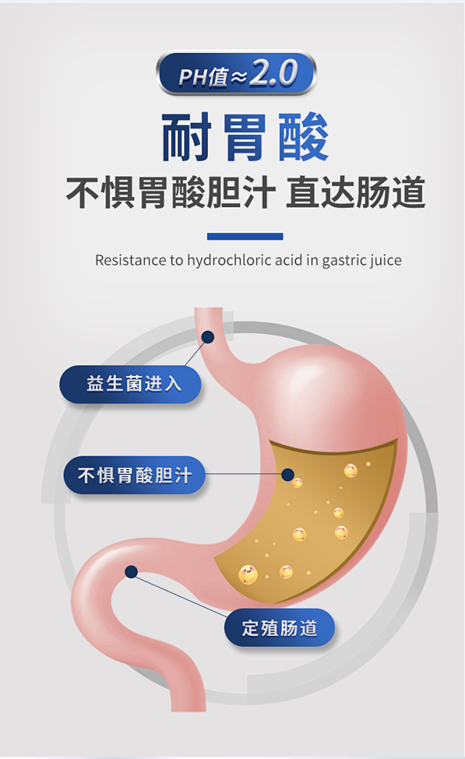 MAG布拉迪酵母益生菌宠物狗狗调理肠胃拉...