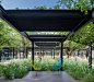校园中的理想休闲地，半荫花园 / Joshua Ascencio + Architects – mooool木藕设计网