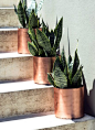 Copper Planters from ManMade DIY. Genius and gorgeous. Now if I can keep a plant alive for longer than two weeks.