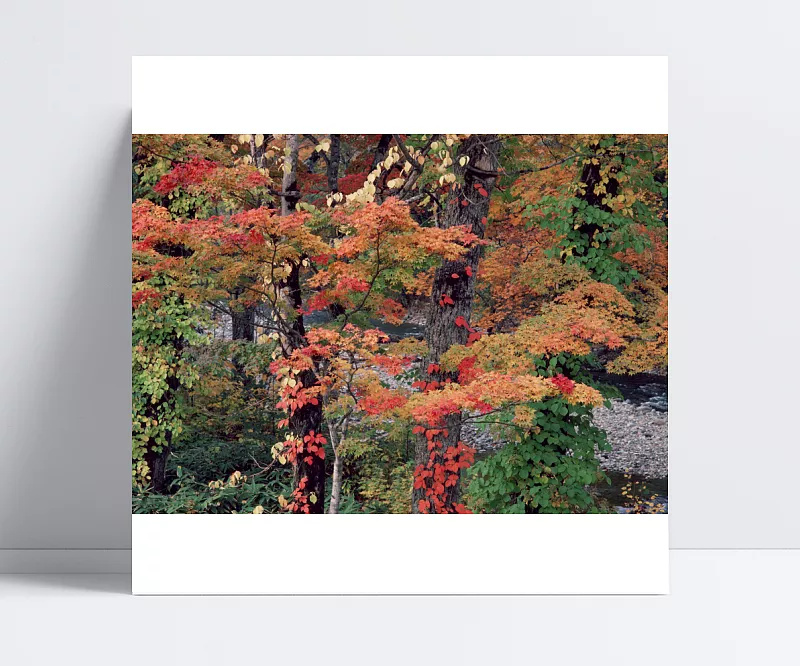 379821c8bc4020faf7cc8c87cd074e3b279d3cc114064-Vt5WSs