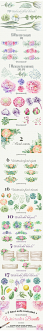 婚礼水彩花朵植物素材 玫瑰花多肉婚礼贺卡明信片海报设计水彩花朵植物插画平面素材