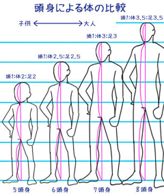 rambor_rambor采集到anatomy