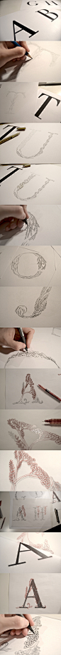 Process. Herbarium Typography // Ana Bangueses