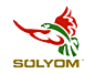 匈牙利绍约姆（solyom）航空公司新LOGO