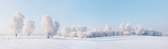 風儿_采集到雪景