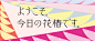 花椿 HANATSUBAKI | 資生堂 : 創刊78周年を迎えた資生堂の企業文化誌『花椿』。 Hanatsubaki is a corporate culture magazine issued by Shiseido, which marks its 78th anniversary.