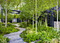 Chelsea 2010 - The Cancer Research UK Garden |