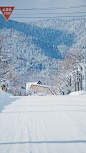 雪原 富良野❄️ | 摄影@overwater ​​​