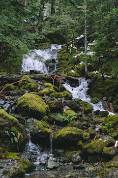 莉啊采集到山水