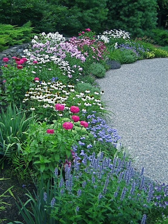 Great Perennial Bord...