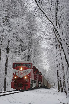 为什么不让我豋采集到那白色的雪啊