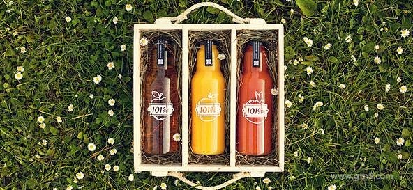 101%天然果汁品牌特色包装及VI设计