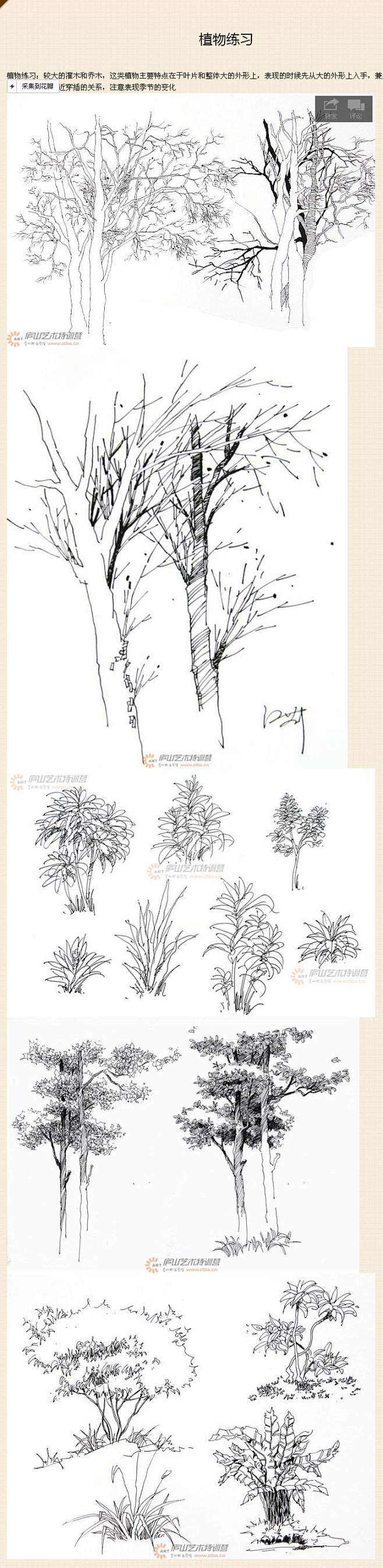 植物练习：较大的灌木和乔木，这类植物主要...