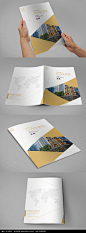 金色金融投资画册封面AI素材下载_封面设计图片