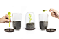 Sprout Jar : Welcome nature into the comfort of your home with Sprout Jar, the seasoning container. Simply open the lid of the dome and fill it with ground coffee, tea leaves, beans, or any preferred seasoning of your choice. The little sprout stands tall