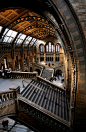 bluepueblo:

Natural History Museum, London
photo by archidave
