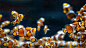 General 2048x1152 macro animals clownfish fish