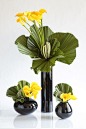 Modern yellow arrangements. Remember those black vases I showed you? @Lauren Davison Davison Davison Jackson