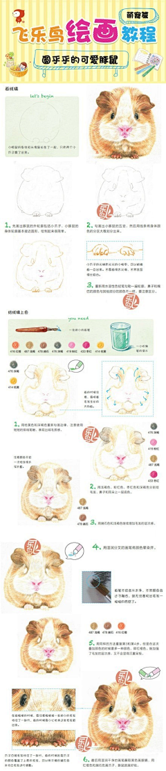 halal123采集到教程