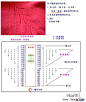 插肩毛衣径的花样图解！ - 钩针编织教程 - 毛衣网-漂亮新款毛衣欣赏与手工编织交流√ -