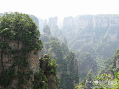 Zuoantianshi212采集到张家界摄影图片 旅游, 