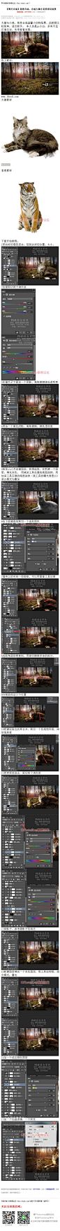《合成大猫小老虎奇幻场景》 大猫与小虎，简单合成温馨小动物场景。此教程比较简单，适合新手。 本人也是ps小白，多有不足还请见谅。 #www.16xx8.com##ps##photoshop##教程##ps教程##I场景合成I#：http://www.16xx8.com/plus/view.php?aid=145037&pageno=all