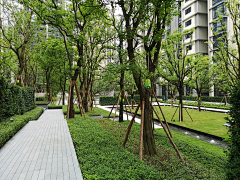 吃萝卜的不是兔子采集到landscape-庭院、屋顶花园