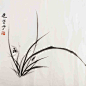 【西泠印社】宋一洲 国画花卉《兰花》 书法 笔墨字画 收藏-tmall.com天猫