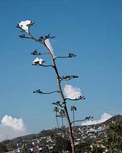 十二减一采集到风景