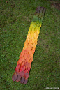 网友利用树上掉下来的不同颜色的叶子拼成了一道彩虹，感觉大自然很神奇。http://98myhouse.taobao.com/shop/view_shop.htm?tracelog=twddp