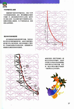 Hfutjokker采集到肉丁网DIY