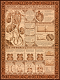 Embryonic heart development : These medical infographics were made in collaboration with Nerdcore Medical. They were designed to mix art and science to help students study for medical licensing exams. 