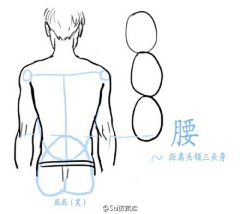 拾夏_SHIXIA采集到技法形体