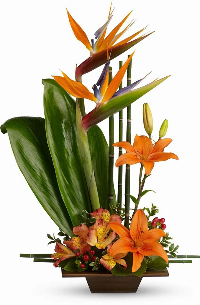 Teleflora's Exotic G...