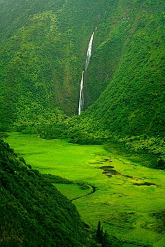 懒吖头采集到旅行