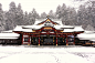 “shinto shrine snow”的图片搜索结果