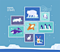 北极圈动物北极熊企鹅白狐鲸鱼手绘邮票动物北极熊|北极熊|白狐|鲸鱼|手绘|邮票