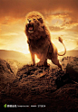 怒吼的雄狮电影纳尼亚传奇海报