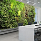 仿真室内植物墙立体绿化假植物装饰墙商场餐厅咖啡厅绿化美化装饰-淘宝网