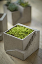 Cement Architectural Pot with One Planter by Vagabond Vintage®: 