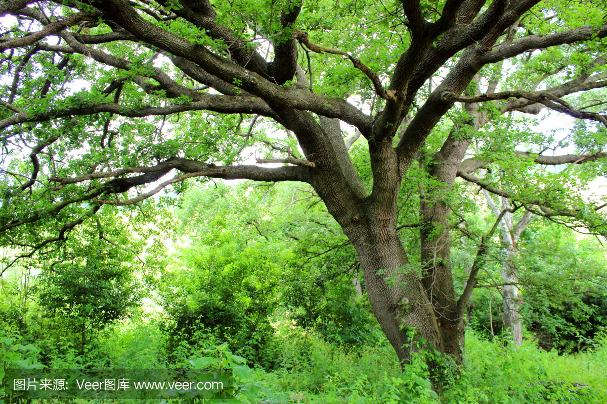 39d946fcd7e40dbeb900b111734817d028f69d8a1b8033-ar7mK1